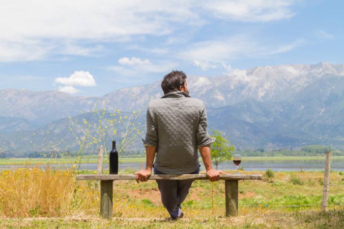 一位男人坐在木椅上看著智利的葡萄園，旁邊上著瓶紅葡萄酒